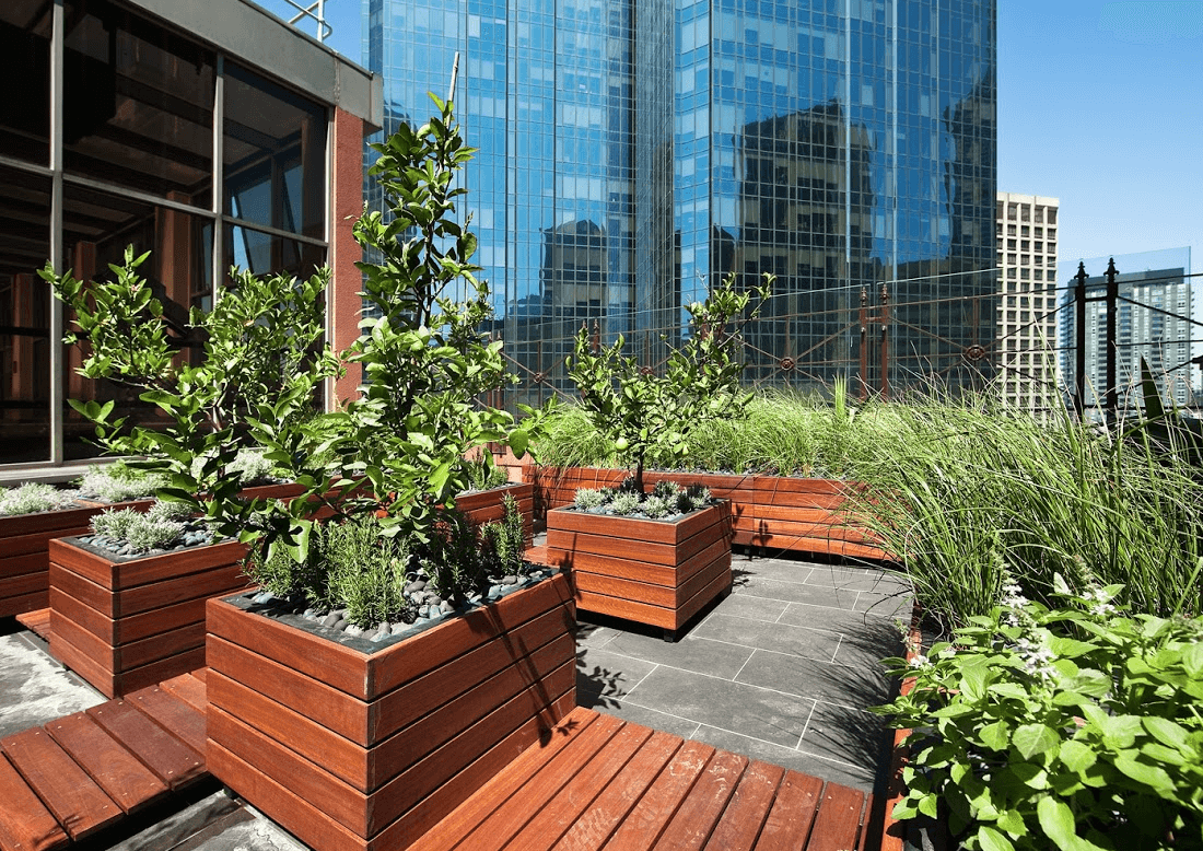 Rooftop-Garden